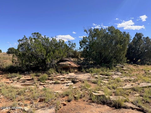 Tiny photo for Lot 19 Snowflake Ranches, Snowflake, AZ 85937 (MLS # 263523)