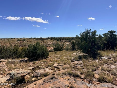 Tiny photo for Lot 19 Snowflake Ranches, Snowflake, AZ 85937 (MLS # 263523)