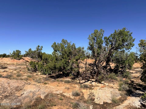 Tiny photo for Lot 19 Snowflake Ranches, Snowflake, AZ 85937 (MLS # 263523)