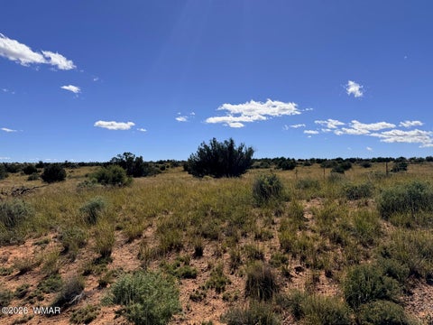 Tiny photo for Lot 19 Snowflake Ranches, Snowflake, AZ 85937 (MLS # 263523)