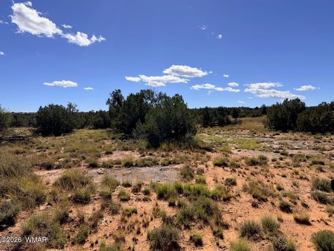 Tiny photo for Lot 19 Snowflake Ranches, Snowflake, AZ 85937 (MLS # 263523)