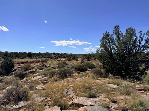 Tiny photo for Lot 19 Snowflake Ranches, Snowflake, AZ 85937 (MLS # 263523)