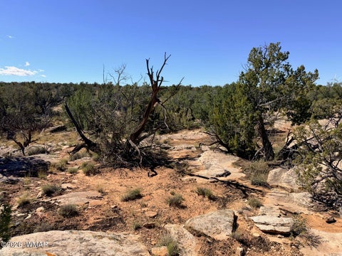 Tiny photo for Lot 19 Snowflake Ranches, Snowflake, AZ 85937 (MLS # 263523)