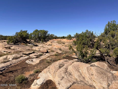 Tiny photo for Lot 19 Snowflake Ranches, Snowflake, AZ 85937 (MLS # 263523)