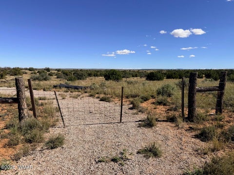 Tiny photo for Lot 19 Snowflake Ranches, Snowflake, AZ 85937 (MLS # 263523)