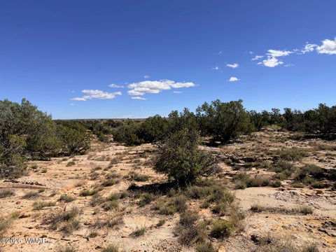 Tiny photo for Lot 19 Snowflake Ranches, Snowflake, AZ 85937 (MLS # 263523)