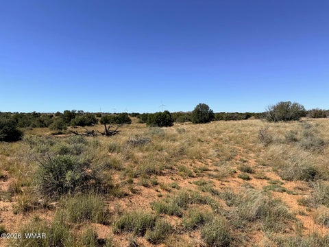 Tiny photo for Lot 19 Snowflake Ranches, Snowflake, AZ 85937 (MLS # 263523)