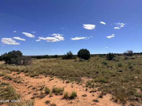 Tiny photo for Lot 19 Snowflake Ranches, Snowflake, AZ 85937 (MLS # 263523)