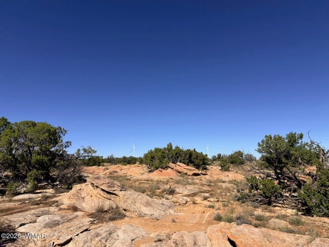 Tiny photo for Lot 19 Snowflake Ranches, Snowflake, AZ 85937 (MLS # 263523)