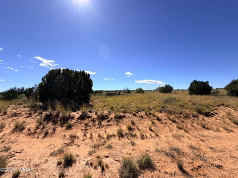 Tiny photo for Lot 19 Snowflake Ranches, Snowflake, AZ 85937 (MLS # 263523)