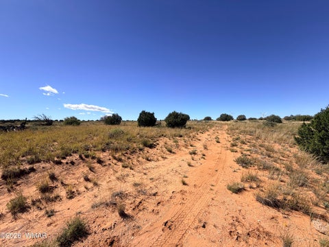 Tiny photo for Lot 19 Snowflake Ranches, Snowflake, AZ 85937 (MLS # 263523)