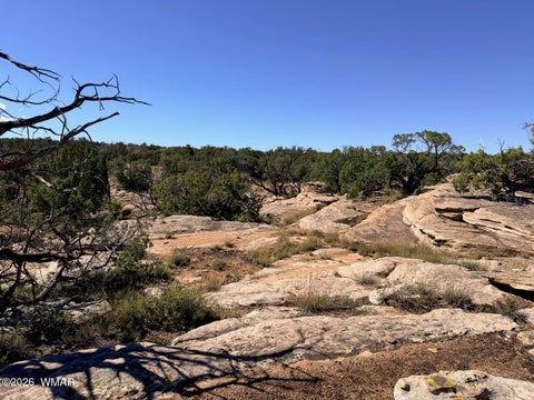 Tiny photo for Lot 19 Snowflake Ranches, Snowflake, AZ 85937 (MLS # 263523)