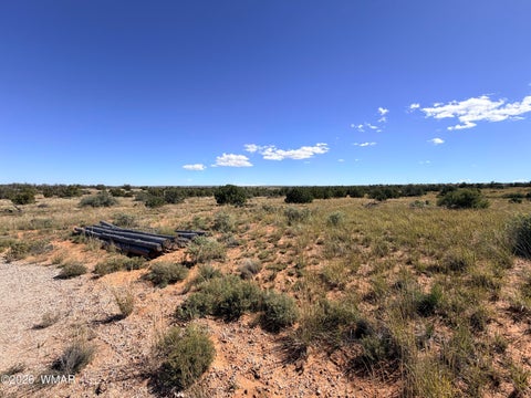 Tiny photo for Lot 19 Snowflake Ranches, Snowflake, AZ 85937 (MLS # 263523)
