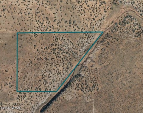 Tiny photo for Lot 19 Snowflake Ranches, Snowflake, AZ 85937 (MLS # 263523)