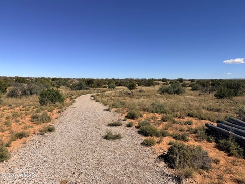 Tiny photo for Lot 19 Snowflake Ranches, Snowflake, AZ 85937 (MLS # 263523)