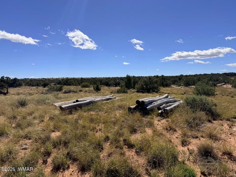 Tiny photo for Lot 19 Snowflake Ranches, Snowflake, AZ 85937 (MLS # 263523)