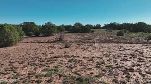 Tiny photo for 9445 Texas Lane, Show Low, AZ 85901 (MLS # 259980)
