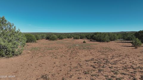 Tiny photo for 9445 Texas Lane, Show Low, AZ 85901 (MLS # 259980)