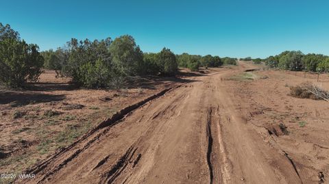 Tiny photo for 9445 Texas Lane, Show Low, AZ 85901 (MLS # 259980)