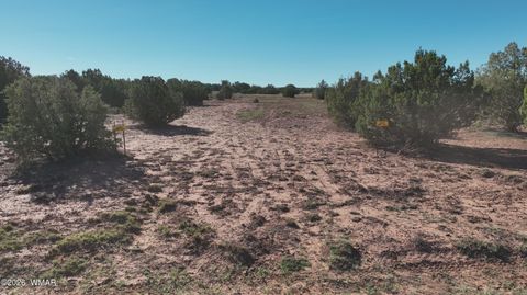 Photo of 9445 Texas Lane, Show Low, AZ 85901 (MLS # 259980)