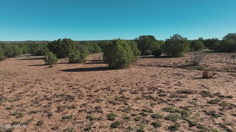 Tiny photo for 9445 Texas Lane, Show Low, AZ 85901 (MLS # 259980)