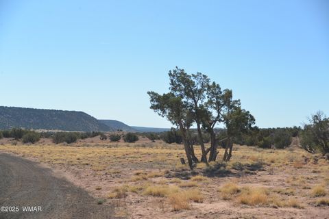 Photo of 4306 El Dorado Road, Snowflake, AZ 85937 (MLS # 255338)