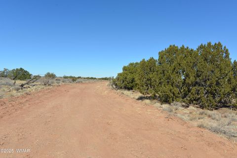 Tiny photo for 4306 El Dorado Road, Snowflake, AZ 85937 (MLS # 255338)