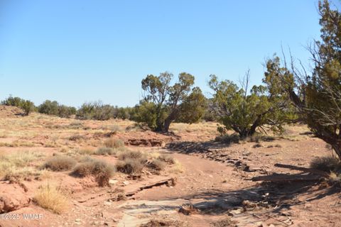 Tiny photo for 4306 El Dorado Road, Snowflake, AZ 85937 (MLS # 255338)