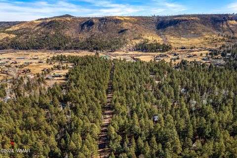 Tiny photo for 12 Wiltbank Street, Greer, AZ 85927 (MLS # 256959)