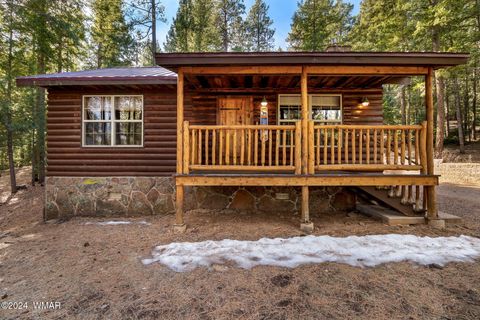 Tiny photo for 12 Wiltbank Street, Greer, AZ 85927 (MLS # 256959)