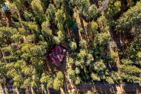Tiny photo for 12 Wiltbank Street, Greer, AZ 85927 (MLS # 256959)