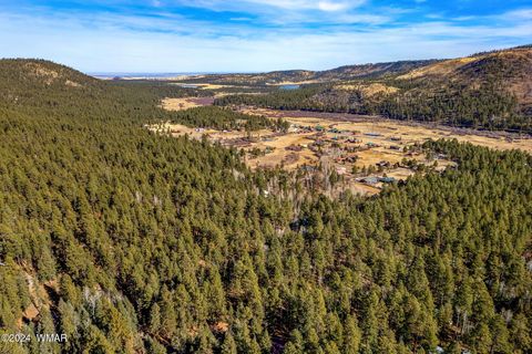 Tiny photo for 12 Wiltbank Street, Greer, AZ 85927 (MLS # 256959)