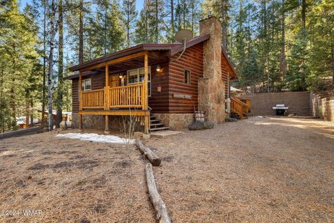 Photo of 12 Wiltbank Street, Greer, AZ 85927 (MLS # 256959)