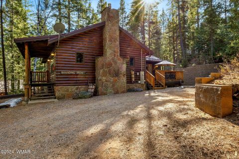 Tiny photo for 12 Wiltbank Street, Greer, AZ 85927 (MLS # 256959)