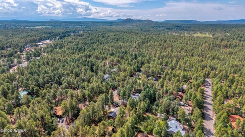 Tiny photo for 548 S Cotton Tail Lane, Pinetop, AZ 85935 (MLS # 262699)