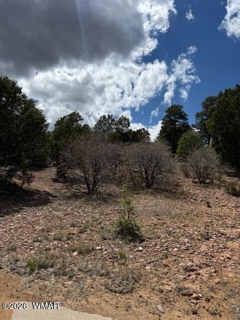 Tiny photo for 600 Angelas Place, Show Low, AZ 85901 (MLS # 260928)