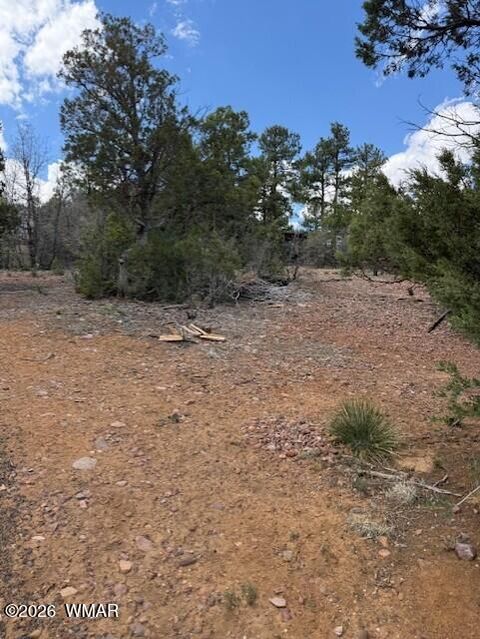 Tiny photo for 600 Angelas Place, Show Low, AZ 85901 (MLS # 260928)