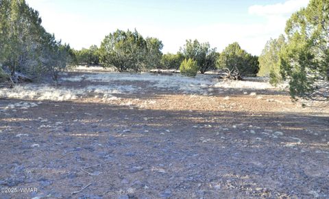 Tiny photo for 11D Lodge Pole Rd, Show Low, AZ 85901 (MLS # 258823)