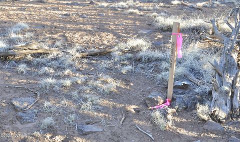 Tiny photo for 11D Lodge Pole Rd, Show Low, AZ 85901 (MLS # 258823)