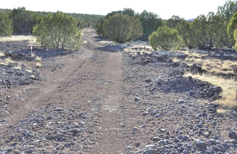 Tiny photo for 11D Lodge Pole Rd, Show Low, AZ 85901 (MLS # 258823)