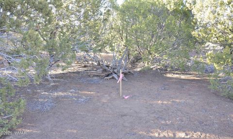 Tiny photo for 11D Lodge Pole Rd, Show Low, AZ 85901 (MLS # 258823)