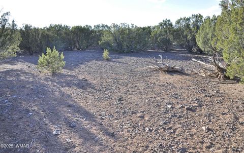 Tiny photo for 11D Lodge Pole Rd, Show Low, AZ 85901 (MLS # 258823)