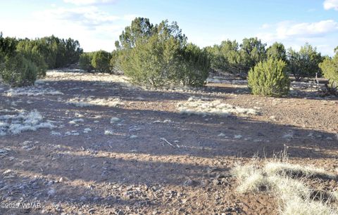 Tiny photo for 11D Lodge Pole Rd, Show Low, AZ 85901 (MLS # 258823)