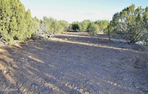 Tiny photo for 11D Lodge Pole Rd, Show Low, AZ 85901 (MLS # 258823)