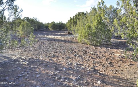 Tiny photo for 11D Lodge Pole Rd, Show Low, AZ 85901 (MLS # 258823)