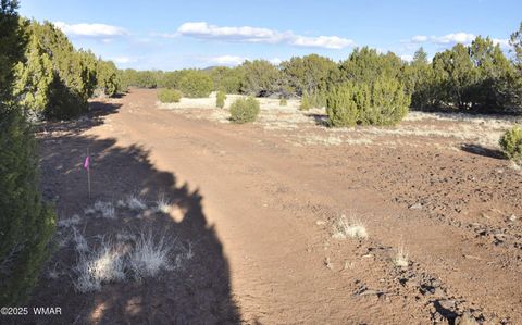 Tiny photo for 11D Lodge Pole Rd, Show Low, AZ 85901 (MLS # 258823)
