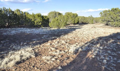 Tiny photo for 11D Lodge Pole Rd, Show Low, AZ 85901 (MLS # 258823)