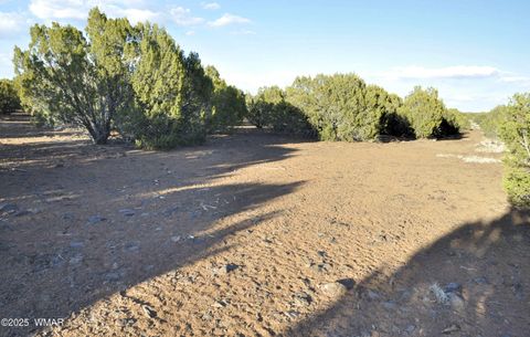 Photo of 11D Lodge Pole Rd, Show Low, AZ 85901 (MLS # 258823)