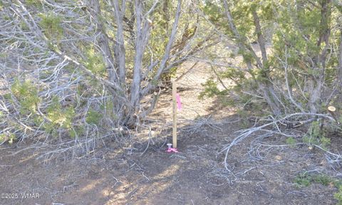 Tiny photo for 11D Lodge Pole Rd, Show Low, AZ 85901 (MLS # 258823)