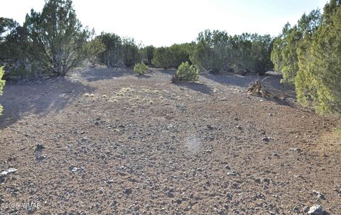 Tiny photo for 11D Lodge Pole Rd, Show Low, AZ 85901 (MLS # 258823)